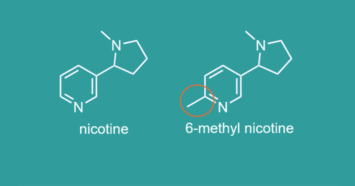 Chemical structure of nicotine compared to nicotine analogs