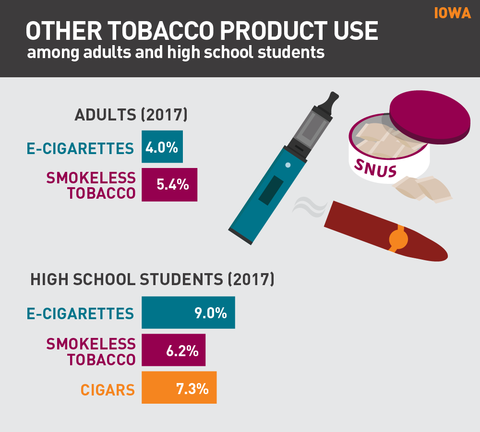 Other tobacco product use in Iowa graphic