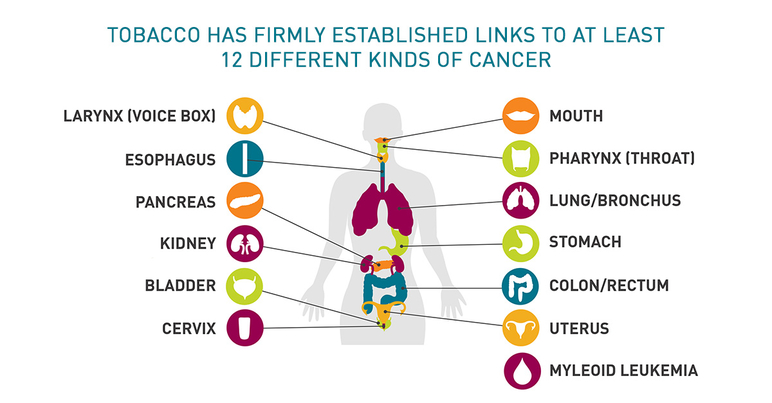 Tobacco has firmly established links to at least 12 different kinds of cancer
