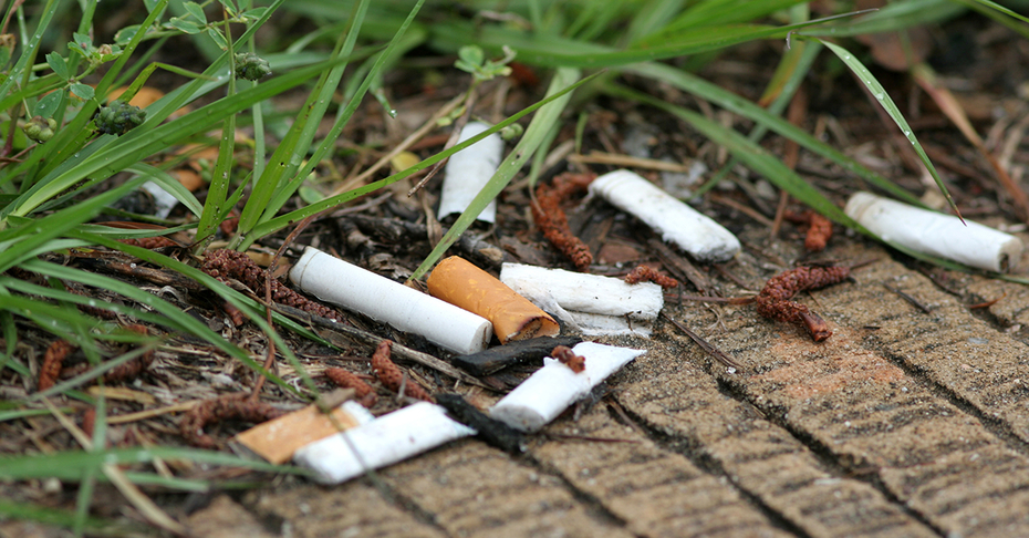 Cigarette Butts Litter