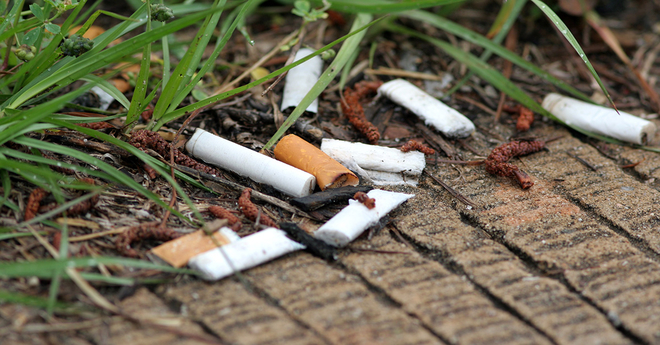 cigarette butts earth