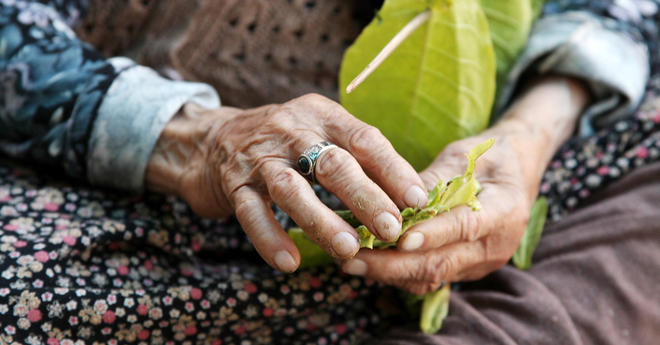 Indigenous people hands