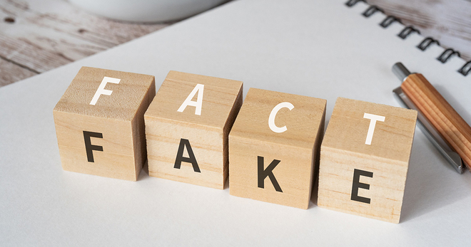 Fake Fact Letter Blocks