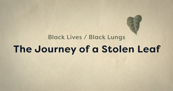The journey of a stolen leaf title card