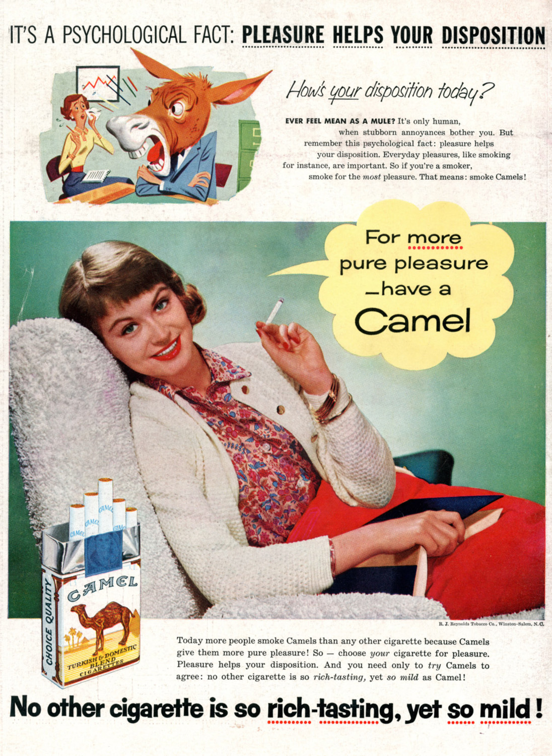 Camel pleasure helps your disposition ad