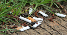 fake light up cigarettes Amazon.com: Zugar Land Realistic Looking Fake Stage Puff Cigarettes (3.5")  Prop for Prank, Halloween Costume, Movie, or Theater Play Tricky Fun Gag  Cool Toy Fancy Dress Looks Lit Up. (2 Cigarettes) :